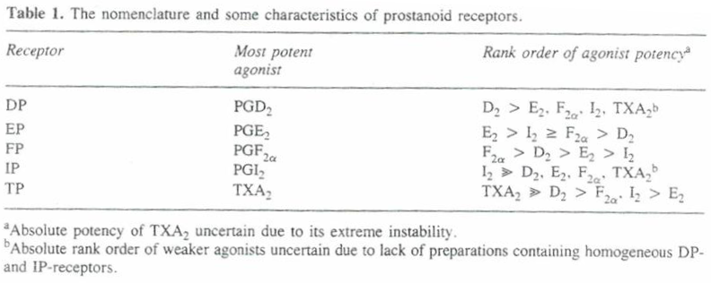 Table

Description automatically generated