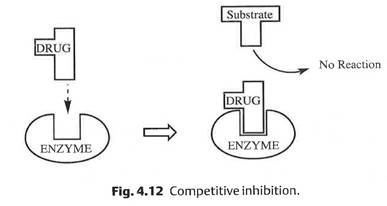 Diagram

Description automatically generated