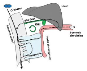 Diagram

Description automatically generated