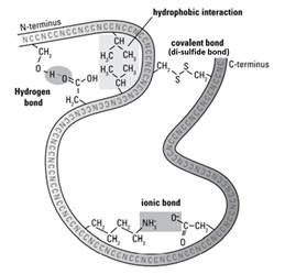 Diagram

Description automatically generated